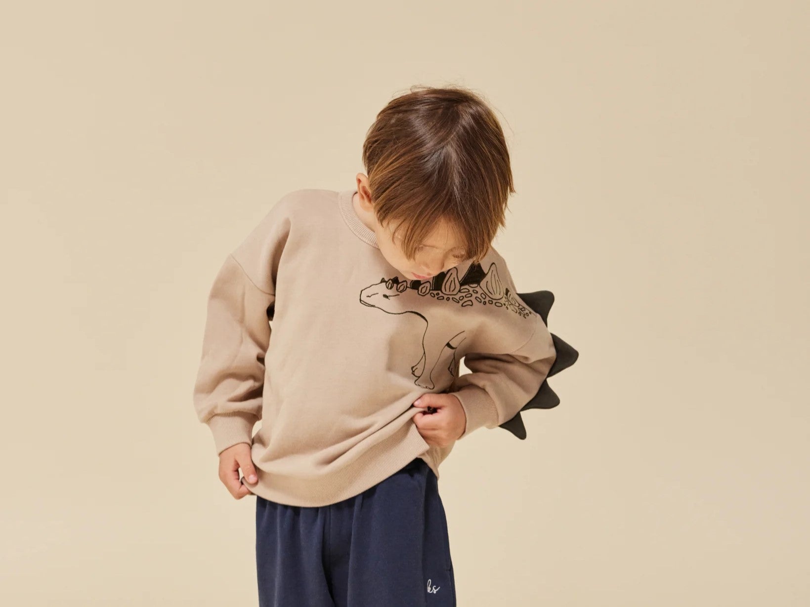 Pullover & Longsleeves